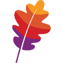 Apache Software Foundation