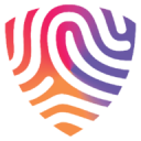 BigID Inc. logo