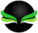 EcoVision logo