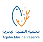 Sharkbook AI
