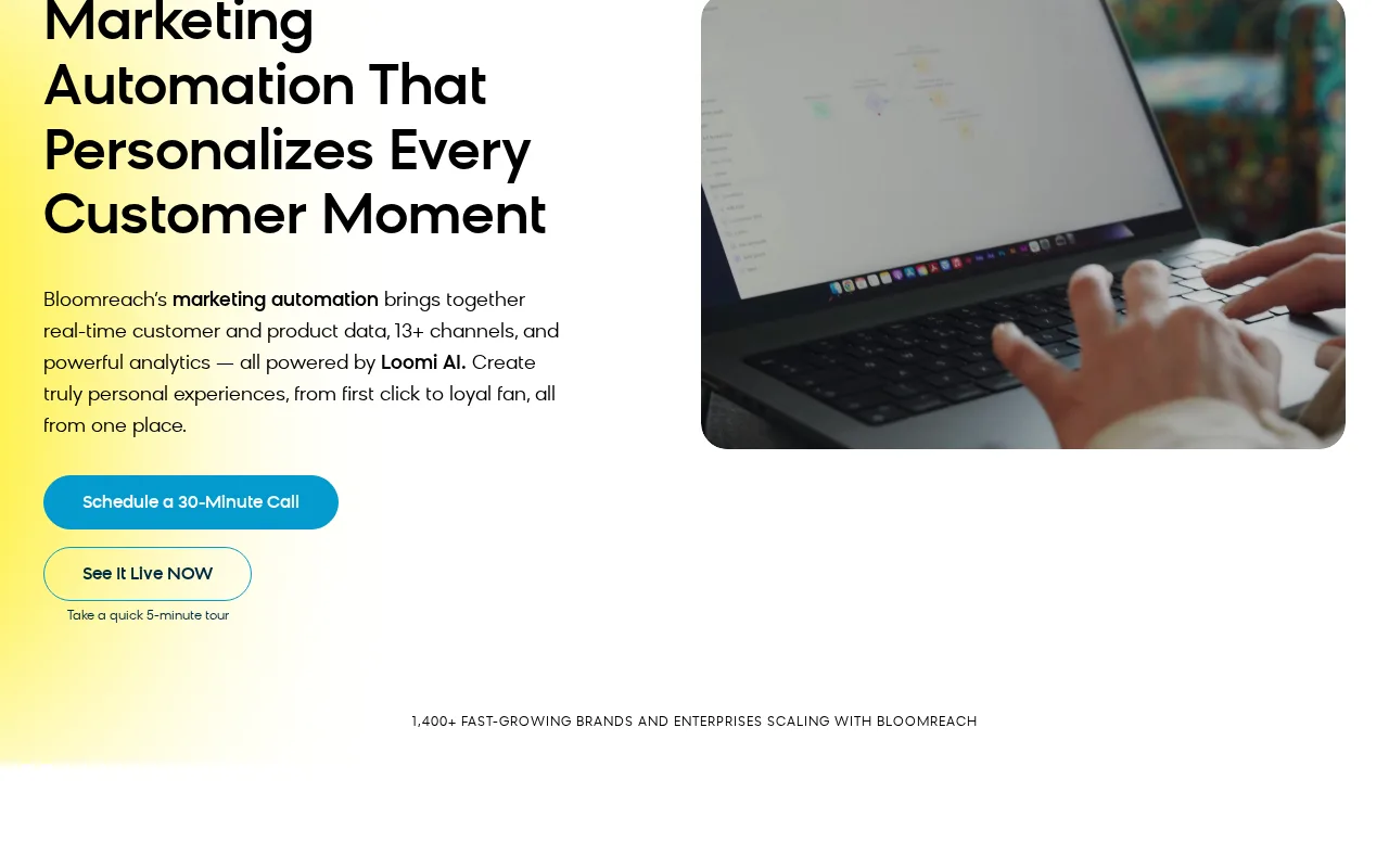 Bloomreach Engagement — preview