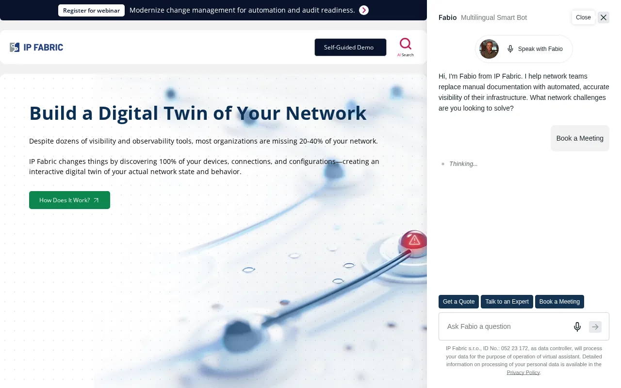 IP Fabric — preview